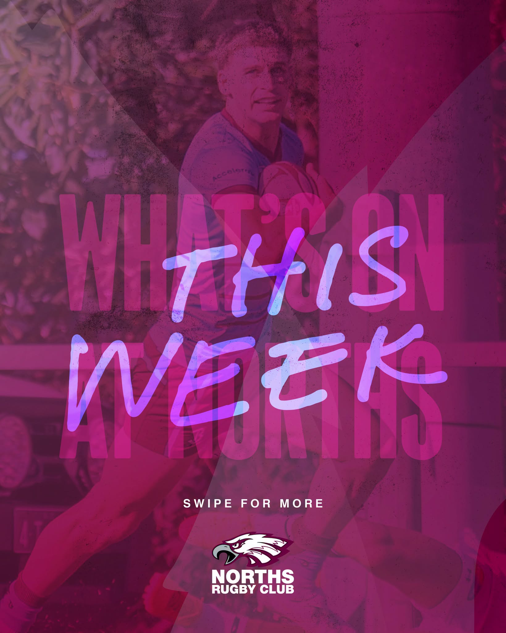 Whats on at Norths This Week